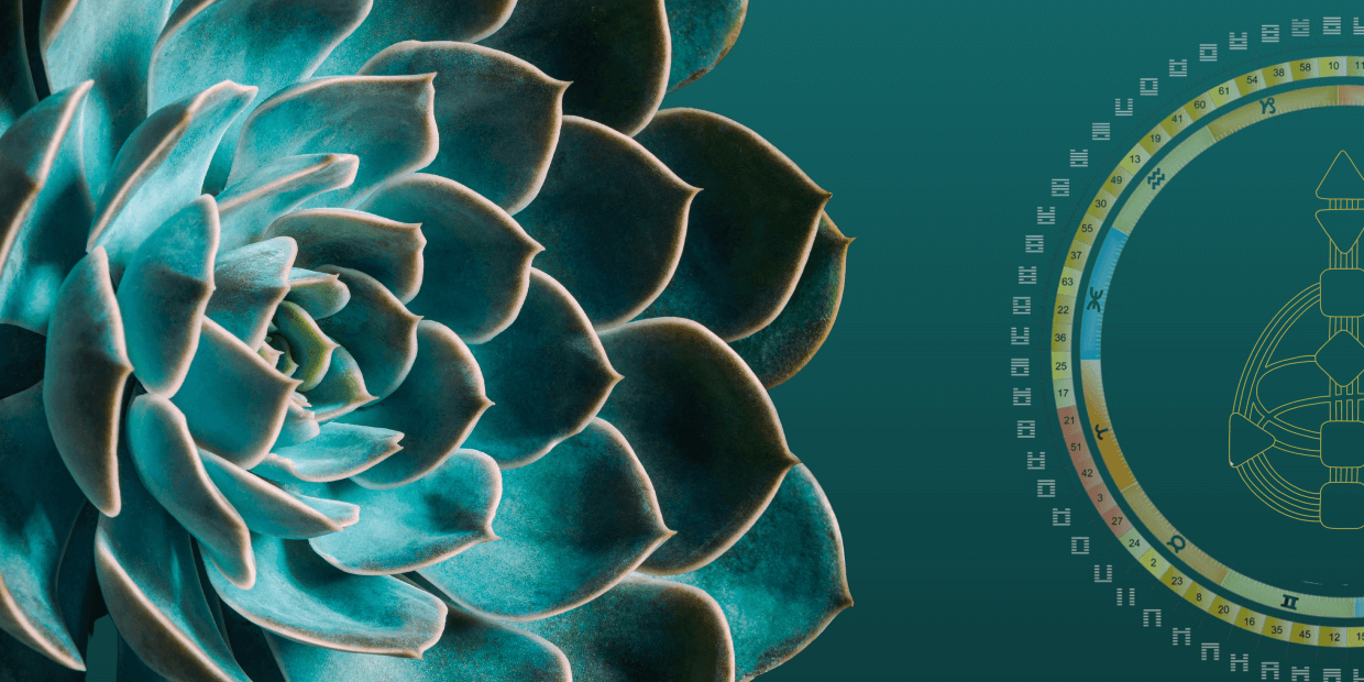 Human Design Banner - Into Human Design - Decorative